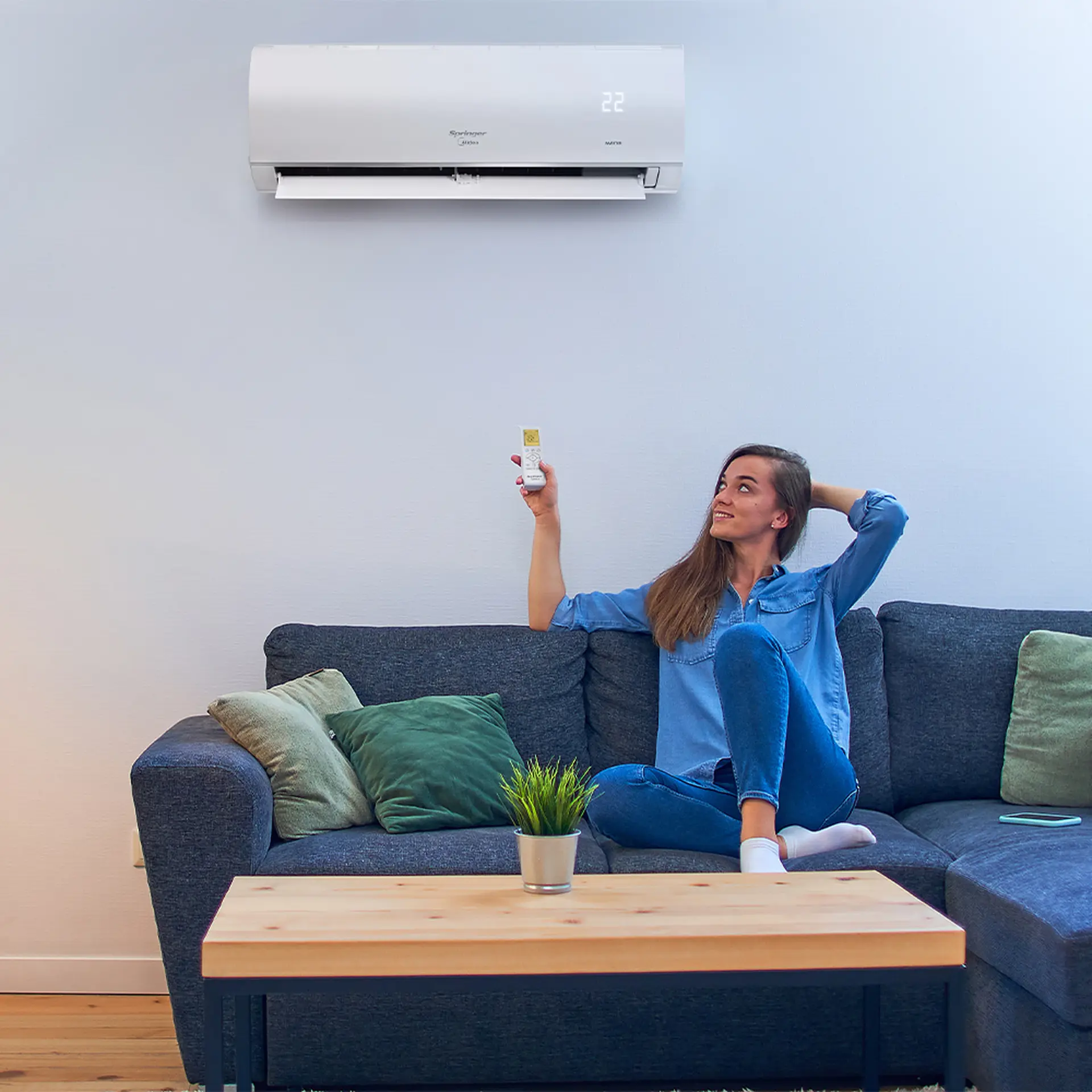 Which air conditioner to buy 2025