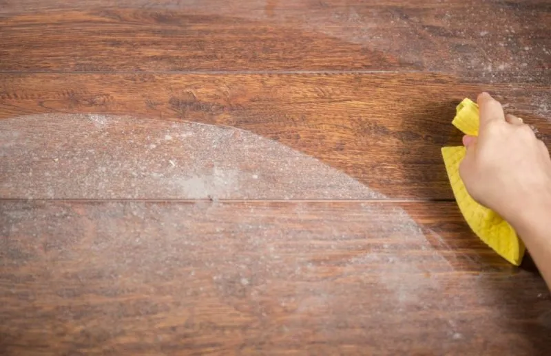How to Prevent Mold in Closets and Rooms: Everything You Need to Know