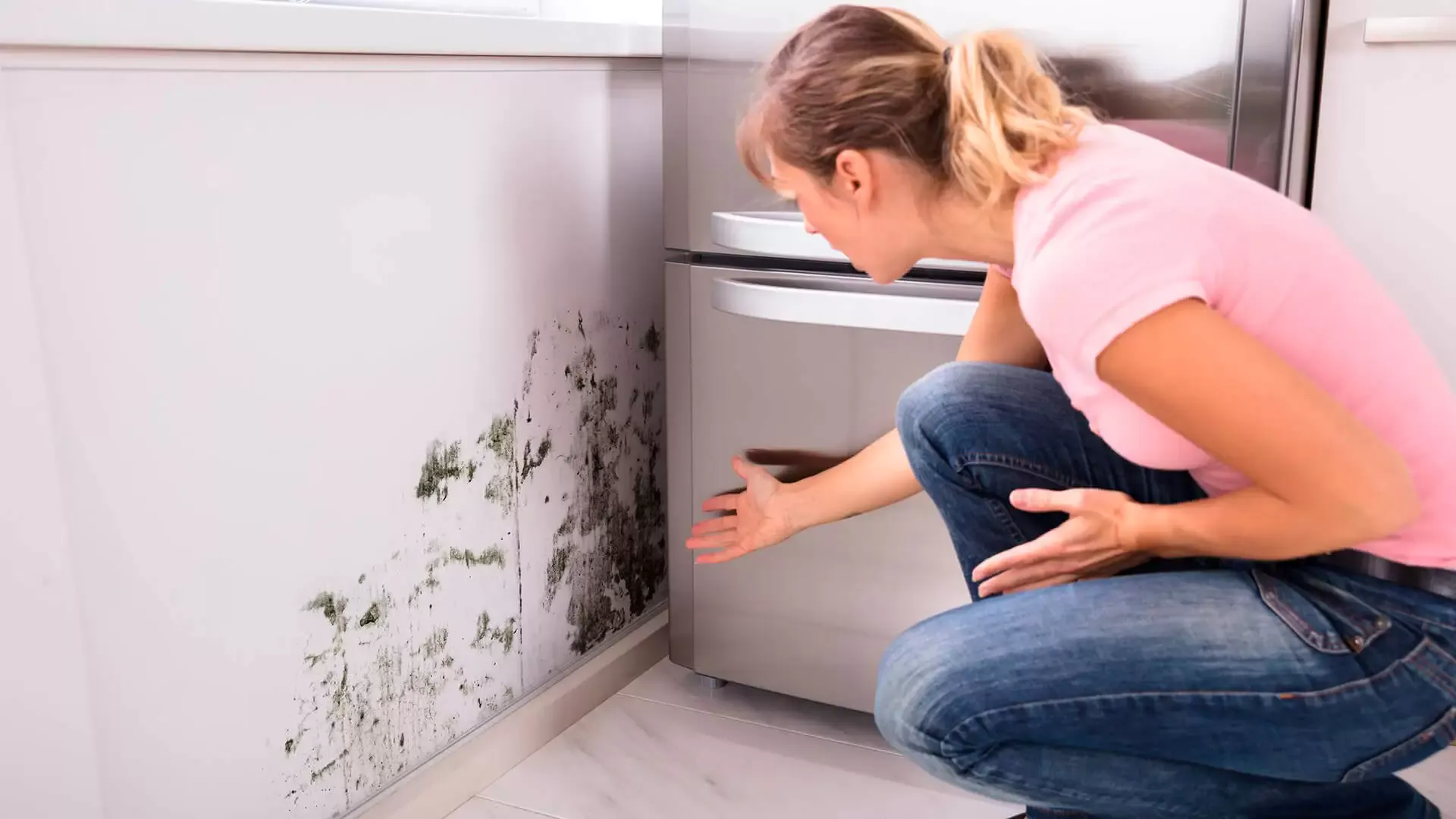 How to Prevent Mold in Closets and Rooms: Everything You Need to Know