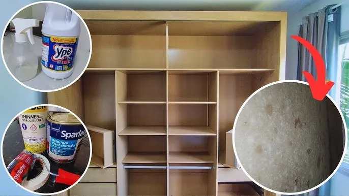 How to Prevent Mold in Closets and Rooms: Everything You Need to Know